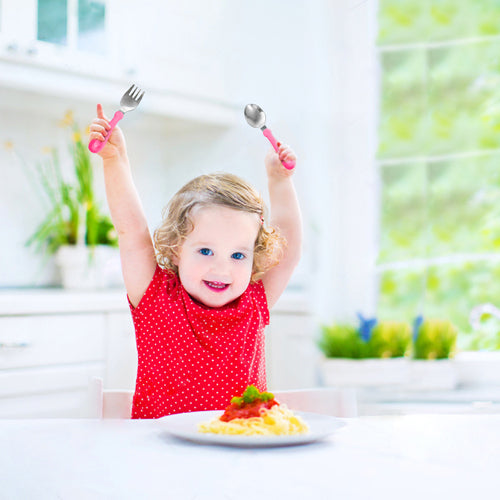 Stainless Steel Fork Spoon Set