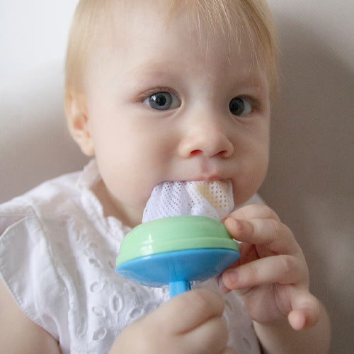 Fruit Vegetable Pacifier